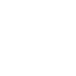 fast-time